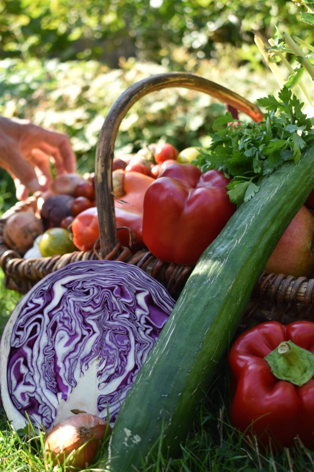 Légumes pour préparer un jus